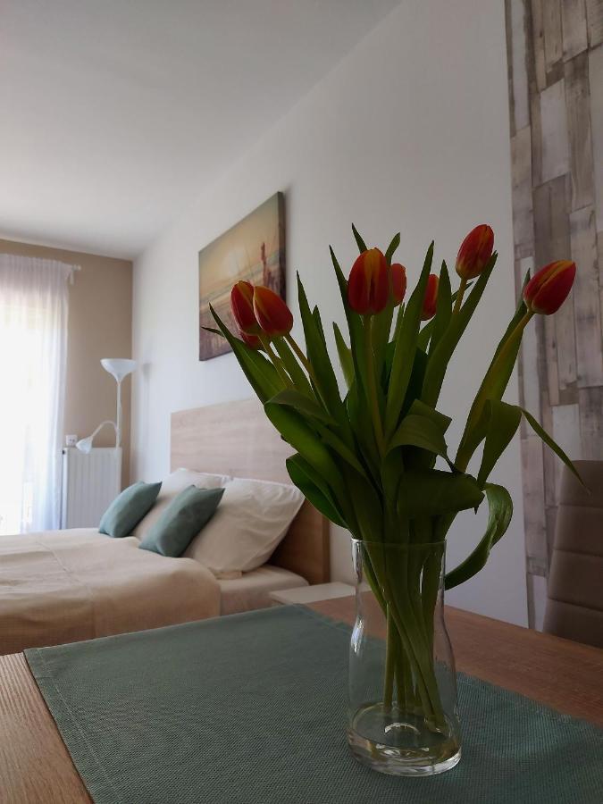 Bike & Spa Velence Apartman Экстерьер фото